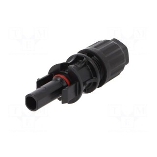 Connector: solar | female | 4÷6mm2 | with contacts | crimped | plug