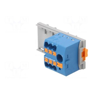 Splice terminal: distribution block | 2.5mm2,6mm2 | ways: 1 | blue