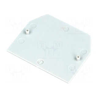 End plate | Application: ZG-G10 | grey | Width: 1mm | polyamide