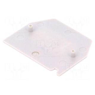 End plate | Application: ZG-G2.5,ZG-G4 | grey | Width: 1mm | polyamide