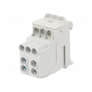 Splice terminal: distribution block | 10mm2,25mm2 | ways: 1 | grey