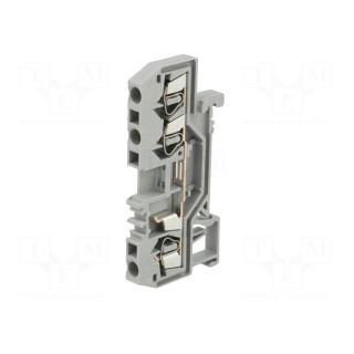 Splice terminal: rail | 2.5mm2 | ways: 1 | terminals: 3 | grey | TS35