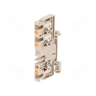 Splice terminal: rail | 4mm2 | ways: 1 | terminals: 3 | beige | wemid