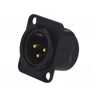Socket | XLR | male | PIN: 3 | flange (2 holes),for panel mounting