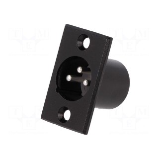 Socket | XLR | male | PIN: 3 | for panel mounting,screw | soldering