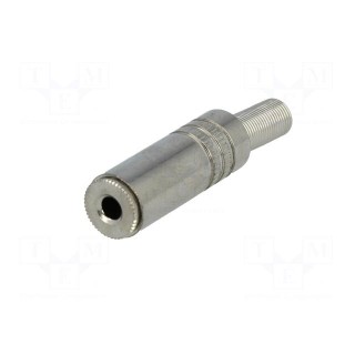 Plug | Jack 3,5mm | female | stereo | with strain relief | straight