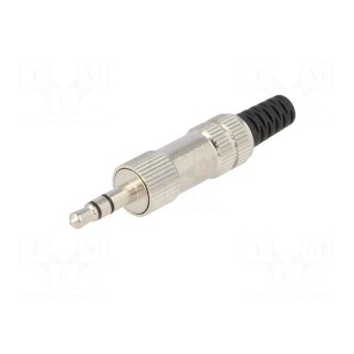 Plug | Jack 3,5mm | male | stereo,with strain relief | ways: 3