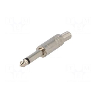 Plug | Jack 6,3mm | male | mono | with strain relief | straight