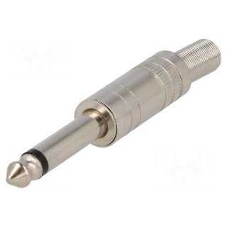 Plug | Jack 6,3mm | male | mono | with strain relief | straight