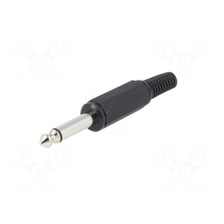 Plug | Jack 6,3mm | male | mono | with strain relief | ways: 2 | straight