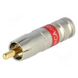 Plug | RCA | male | compression | Cable: RG59 | 75Ω | 3GHz