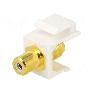 Socket | Transition: adapter | female x2 | straight | gold-plated