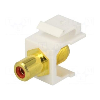 Socket | Transition: adapter | female x2 | straight | gold-plated