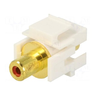 Socket | Transition: coupler | female x2 | straight | gold-plated
