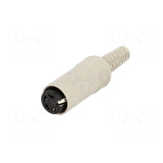 Plug | DIN | female | PIN: 4 | Layout: 216° | straight | for cable