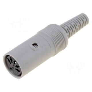 Plug | DIN | female | PIN: 5 | Layout: 180° | straight | for cable