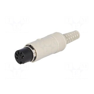 Plug | DIN | female | PIN: 5 | Layout: 180° | straight | for cable