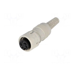 Plug | DIN | female | PIN: 5 | Layout: 240° | straight | for cable