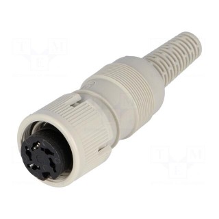 Plug | DIN | female | PIN: 5 | Layout: 240° | straight | for cable