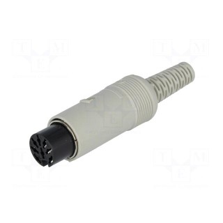 Plug | DIN | female | PIN: 8 | Layout: 262° | straight | for cable