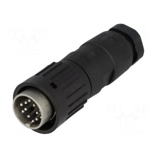 Plug | DIN | male | PIN: 12 | straight | for cable | soldering | 150V | 3A