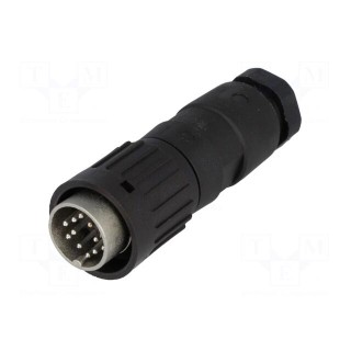 Plug | DIN | male | PIN: 12 | straight | for cable | soldering | 150V | 3A