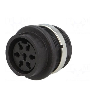 Socket | DIN | female | w/o contacts | PIN: 7 | Layout: 360° | 300V | IP40