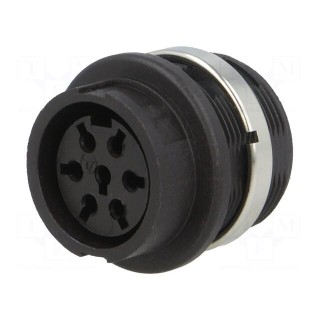 Socket | DIN | female | w/o contacts | PIN: 7 | Layout: 360° | 300V | IP40