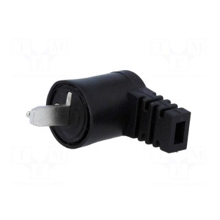 Plug | loudspeaker | male | plastic | screw terminal | angled 90°