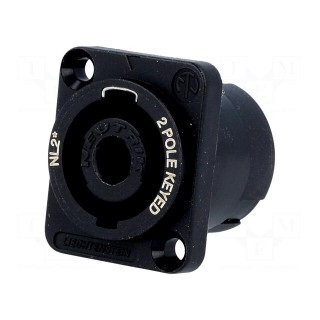 Socket | loudspeaker | male | PIN: 2 | 30A | 250V | 4.8mm connectors