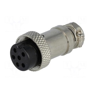 Plug | microphone | female | PIN: 6 | for cable | straight