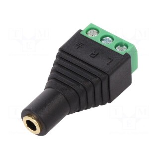 Transition: adapter | Jack 3.5mm 3pin socket,terminal block