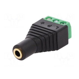 Adapter | Jack 3.5mm 3pin socket,terminal block | stereo | PIN: 3