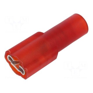 Terminal: flat | 4.8mm | 0.5mm | female | crimped | for cable | insulated