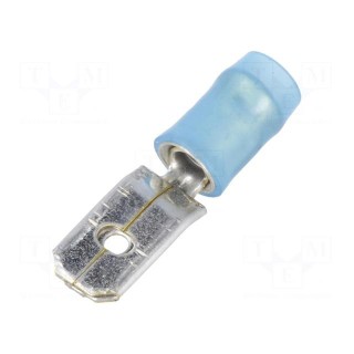 Terminal: flat | 6.3mm | 0.8mm | male | 1÷2.5mm2 | crimped | for cable