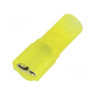 Terminal: flat | 6.4mm | 0.8mm | female | crimped | for cable | insulated