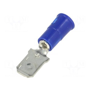 Terminal: flat | 6.4mm | 0.8mm | male | crimped | for cable | insulated