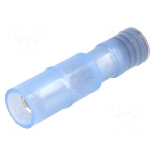 Terminal: round | female | Ø: 4mm | 2mm2 | crimped | for cable | blue | 20A