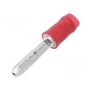 Terminal: round | male | Ø: 3mm | 0.5÷1.5mm2 | crimped | for cable | red