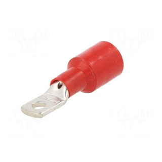 Tip: ring | 6.3mm | M6 | 25mm2 | crimped | for cable | insulated | red