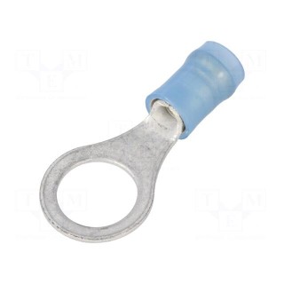 Ring terminal | M8 | Ø: 8.33mm | 1.04÷2.62mm2 | crimped | for cable