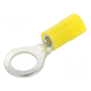 Tip: ring | Ø: 8mm | 4÷6mm2 | crimped | for cable | insulated | tinned