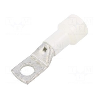 Tip: ring tube | M14 | Ø: 14.5mm | 95mm2 | crimped | for cable | insulated