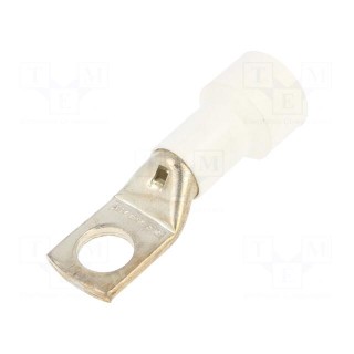 Tip: ring tube | M16 | Ø: 16.5mm | 95mm2 | crimped | for cable | insulated