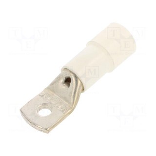 Tip: ring tube | M6 | Ø: 6.4mm | 50mm2 | crimped | for cable | insulated