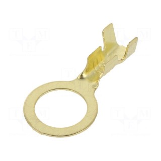 Kit: ring terminals | M8 | 0.5÷1.5mm2 | brass | 50pcs.