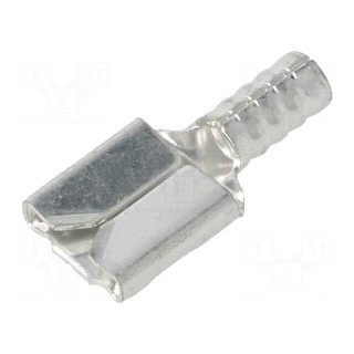Terminal: flat | 6.4mm | 0.8mm | female | crimped | for cable | straight