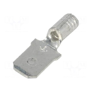Terminal: flat | 6.4mm | 0.8mm | male | crimped | for cable | straight