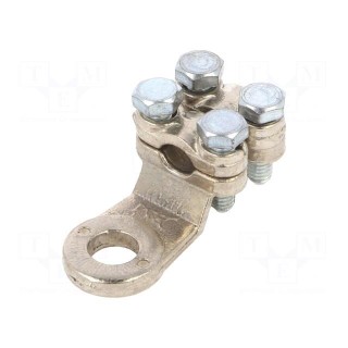 Tip: ring | M10 | 50mm2 | screw terminal | for cable | non-insulated