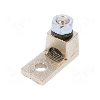 Tip: ring | M10 | 95mm2 | screw terminal | for cable | non-insulated